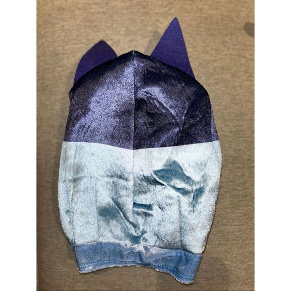 Bluey costume size 3T/4T - Picture 5 of 7